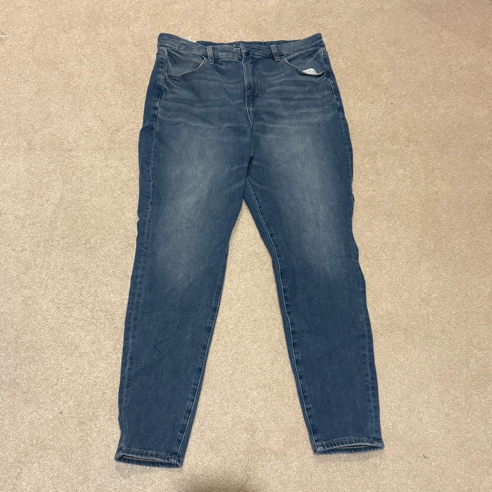 American Eagle Outfitters Classic Blue Skinny Jeans “The Dream Jean”